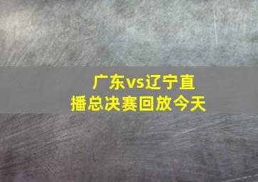 广东vs辽宁直播总决赛回放今天