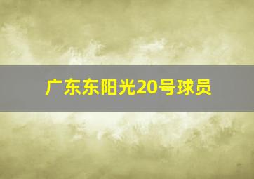 广东东阳光20号球员