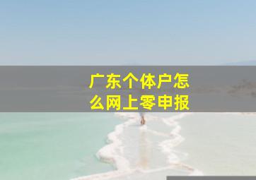 广东个体户怎么网上零申报