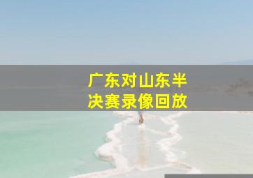 广东对山东半决赛录像回放