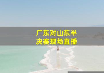 广东对山东半决赛现场直播