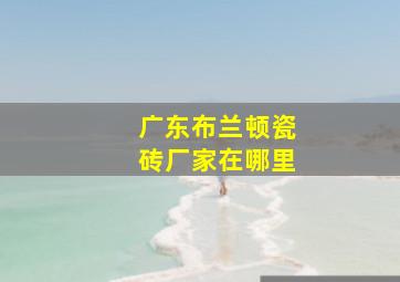 广东布兰顿瓷砖厂家在哪里