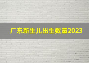 广东新生儿出生数量2023