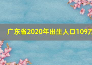 广东省2020年出生人口109万