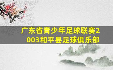 广东省青少年足球联赛2003和平县足球俱乐部