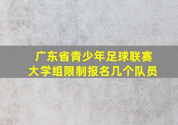 广东省青少年足球联赛大学组限制报名几个队员