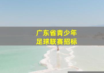 广东省青少年足球联赛招标