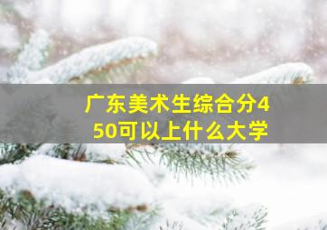 广东美术生综合分450可以上什么大学