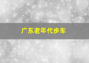 广东老年代步车