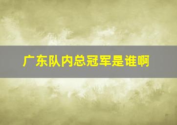 广东队内总冠军是谁啊