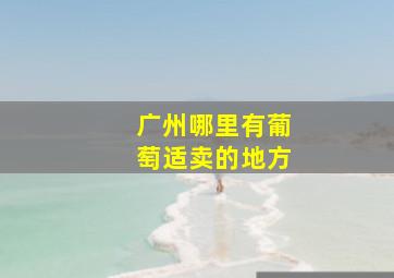 广州哪里有葡萄适卖的地方