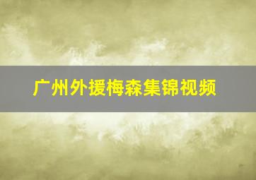 广州外援梅森集锦视频