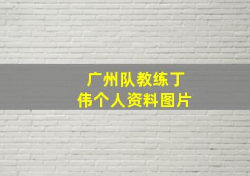 广州队教练丁伟个人资料图片