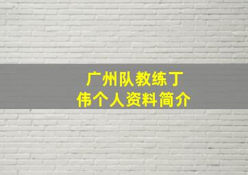 广州队教练丁伟个人资料简介