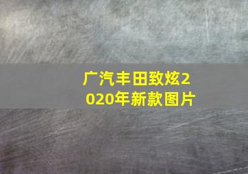 广汽丰田致炫2020年新款图片