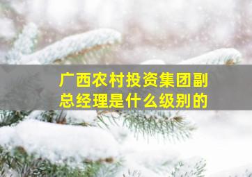 广西农村投资集团副总经理是什么级别的