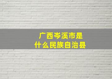 广西岑溪市是什么民族自治县