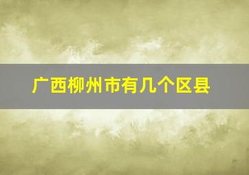 广西柳州市有几个区县