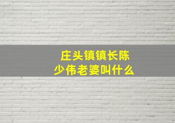 庄头镇镇长陈少伟老婆叫什么