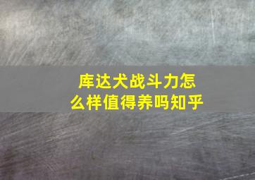 库达犬战斗力怎么样值得养吗知乎