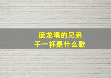 庞龙唱的兄弟干一杯是什么歌