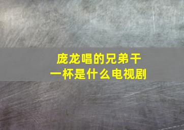 庞龙唱的兄弟干一杯是什么电视剧