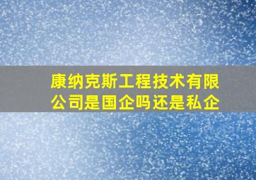 康纳克斯工程技术有限公司是国企吗还是私企