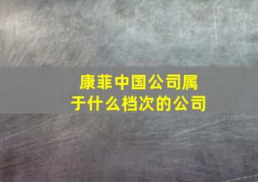 康菲中国公司属于什么档次的公司