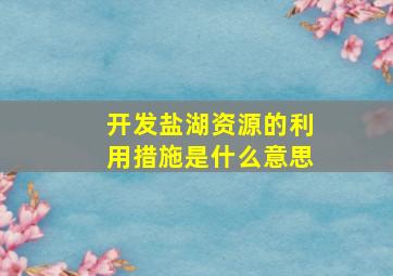 开发盐湖资源的利用措施是什么意思