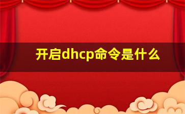 开启dhcp命令是什么