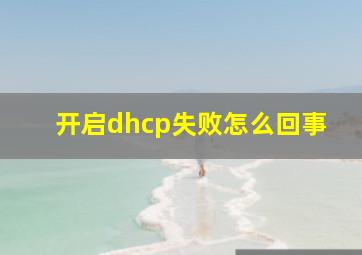 开启dhcp失败怎么回事