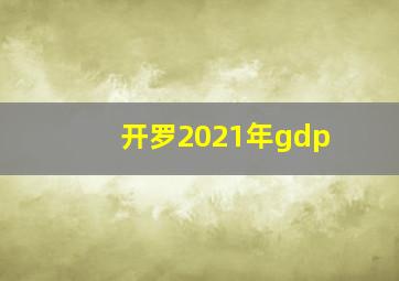 开罗2021年gdp