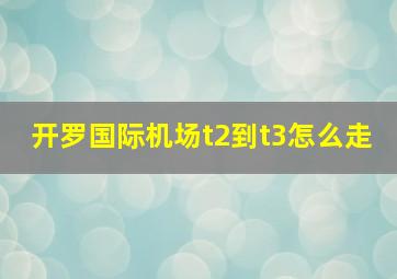 开罗国际机场t2到t3怎么走