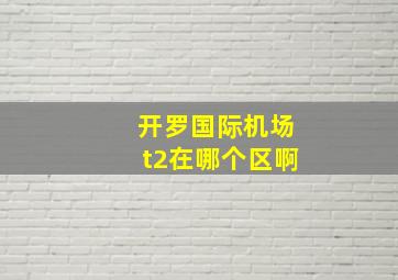 开罗国际机场t2在哪个区啊