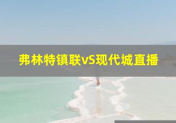 弗林特镇联vS现代城直播