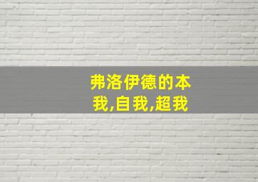 弗洛伊德的本我,自我,超我