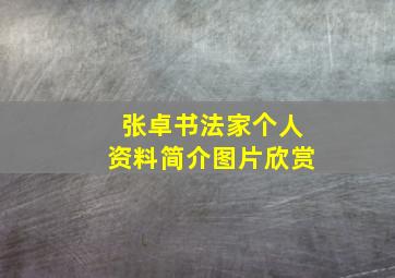 张卓书法家个人资料简介图片欣赏