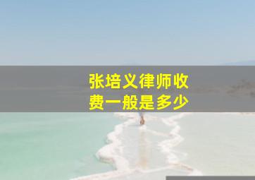 张培义律师收费一般是多少