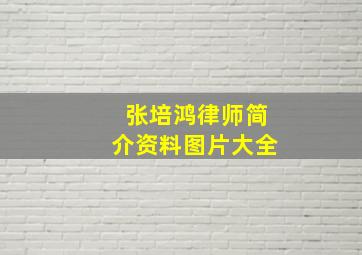 张培鸿律师简介资料图片大全