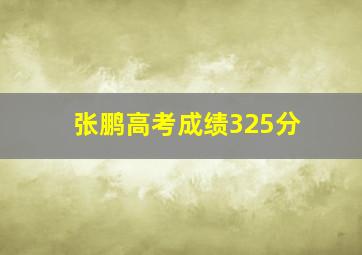 张鹏高考成绩325分