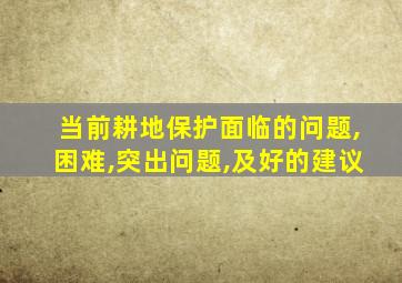 当前耕地保护面临的问题,困难,突出问题,及好的建议