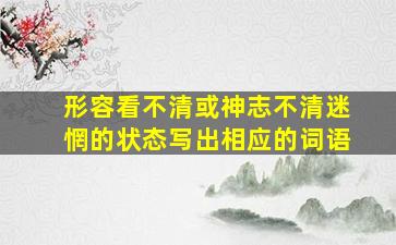 形容看不清或神志不清迷惘的状态写出相应的词语