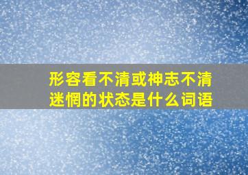 形容看不清或神志不清迷惘的状态是什么词语