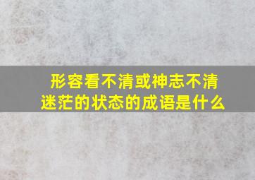 形容看不清或神志不清迷茫的状态的成语是什么