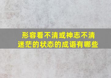 形容看不清或神志不清迷茫的状态的成语有哪些