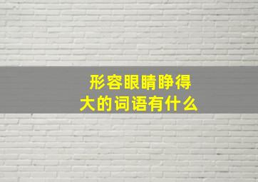 形容眼睛睁得大的词语有什么