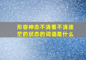 形容神志不清看不清迷茫的状态的词语是什么