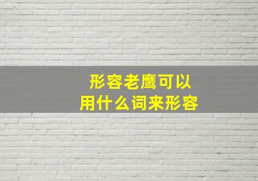 形容老鹰可以用什么词来形容