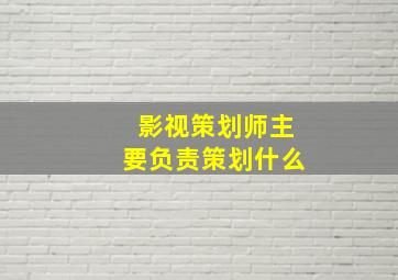 影视策划师主要负责策划什么