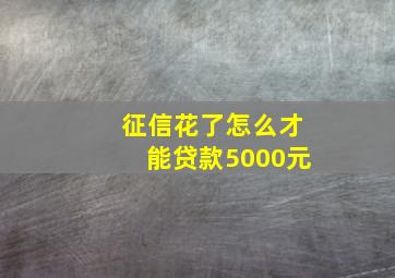 征信花了怎么才能贷款5000元